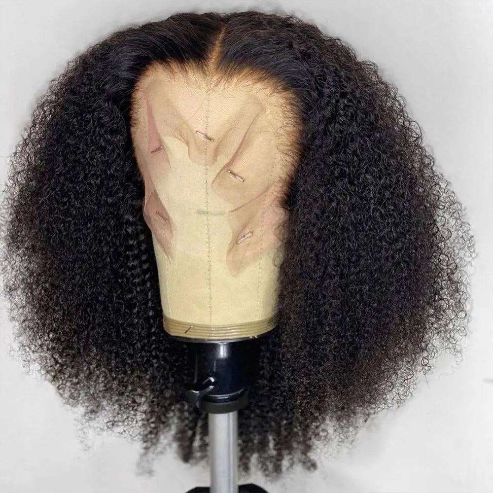 Kinky Curl Wigs